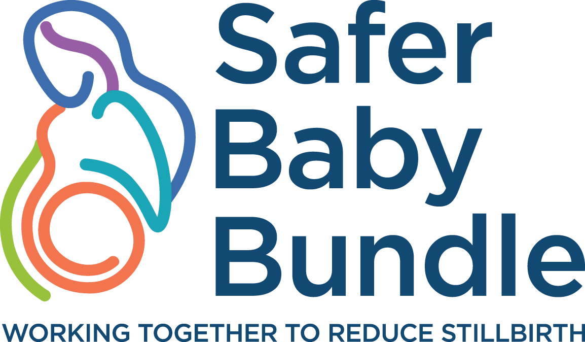 Safer Baby Bundle eLearning course *NEW* (updated August 2024) Safer Baby Bundle eLearning course *NEW* (updated August 2024)